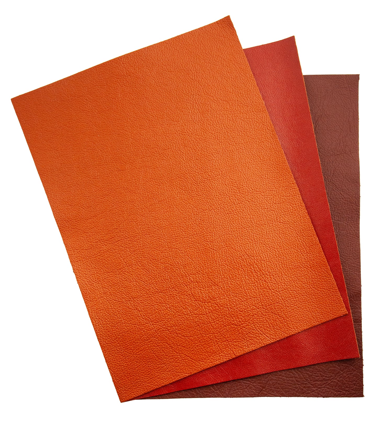 Leather Inspiration Pack - Bronzed Earth