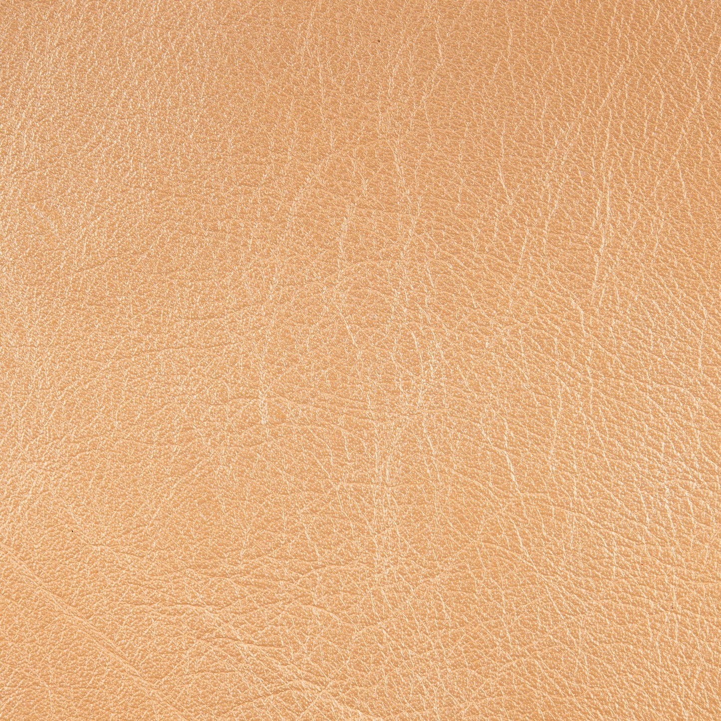 Leather Stubby Holder (31 colours)