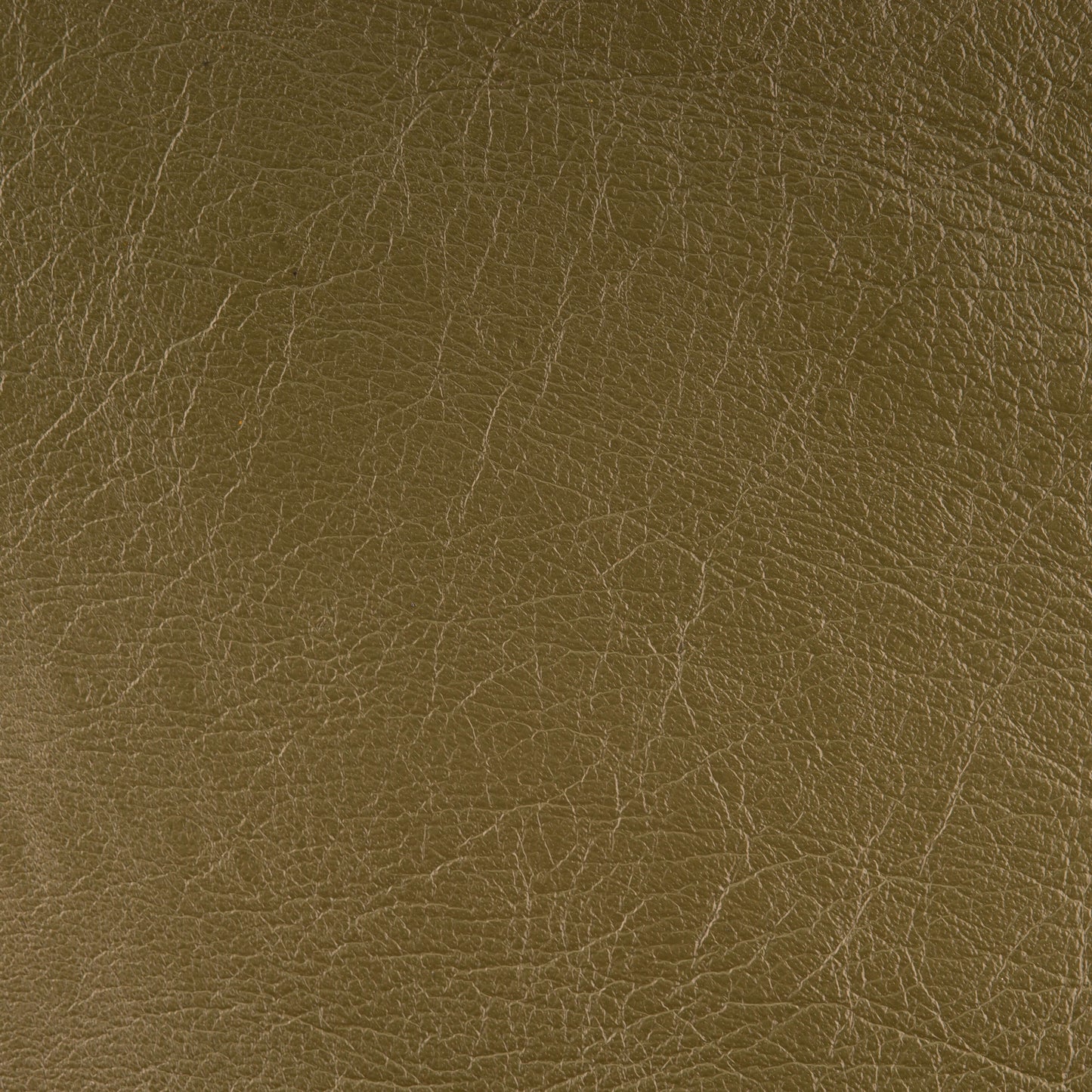 Eucalyptus - Kangaroo Leather