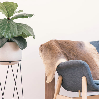 Natural Kangaroo Fur Hide